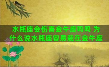 水瓶座会伤害金牛座吗吗 为什么说水瓶座容易栽在金牛座